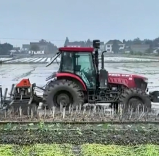 您負(fù)責(zé)統(tǒng)籌全局，它負(fù)責(zé)腳踏實(shí)地